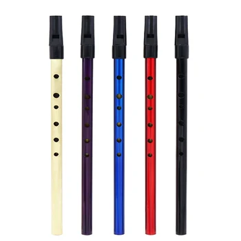 6 Otvor Flauta D Kľúč Irish Whistle Írsko Kovové Flauta Nástroj Woodwind Hudobných Začiatočníkov Príslušenstvo Tin Penny Whistle