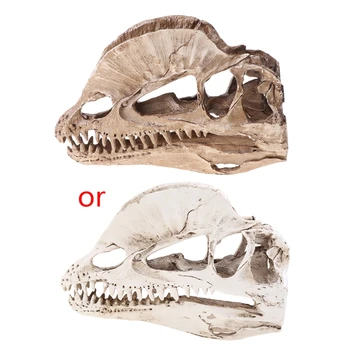 Dilophosaurus Dinosaura Lebky Živice Remesiel na Fosílne Kostra Výučby Model Dropship