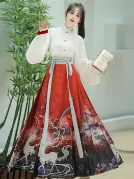 Dynastie Ming Hanfu Kôň Tvár Sukne Ženy Záhybov Sukne, Súpravy Čínskej Tradičnej Hanfu Šaty Cosplay Kostým